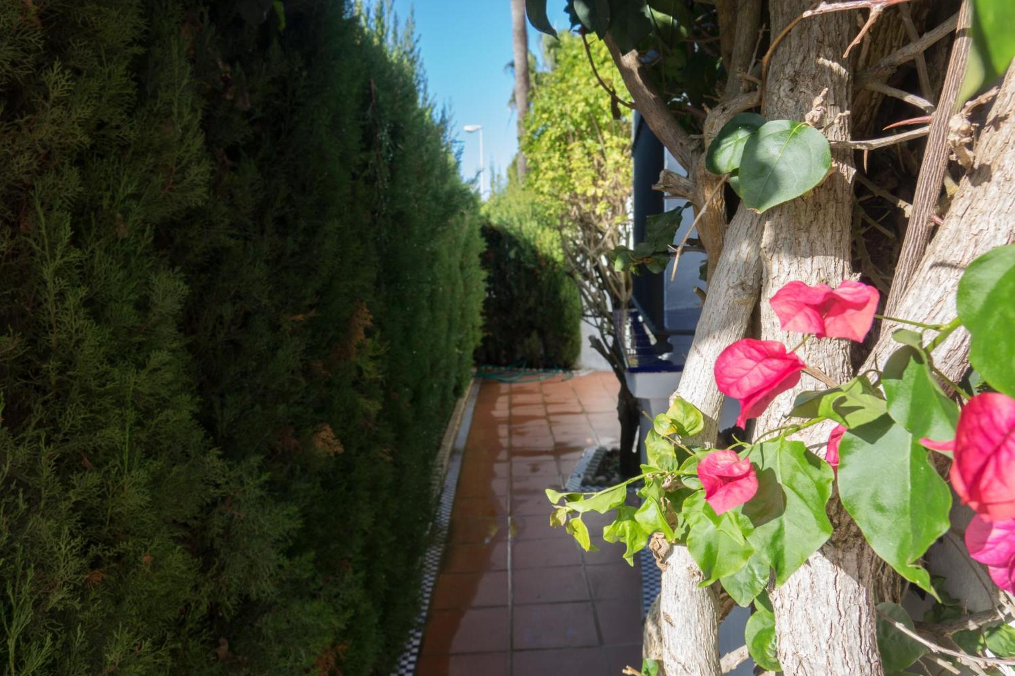 Apartamento Alextia La Barrosa チクラナ・デ・ラ・フロンテーラ エクステリア 写真